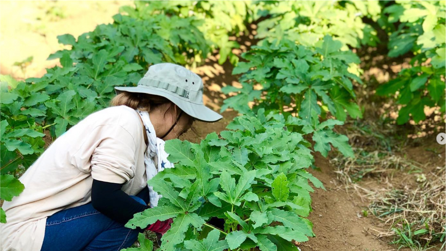 OKS_AGRI 大泉農場